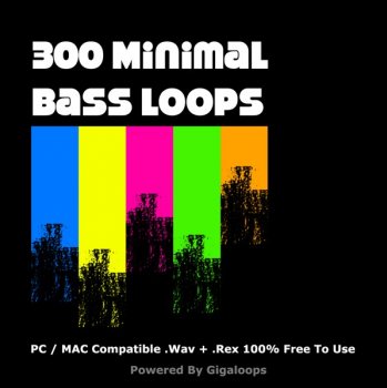 Сэмплы Giga Loops - 300 Minimal Bass Loops