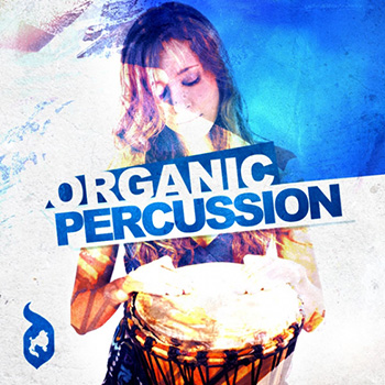 Сэмплы Delectable Records Organic Percussion