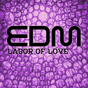 Сэмплы Sound Invaders EDM Labor of Love