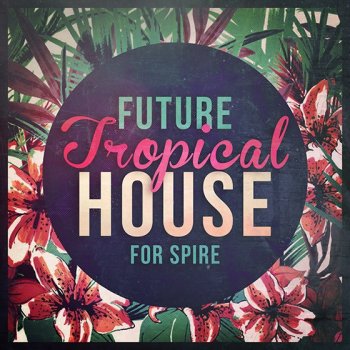 Пресеты Mainroom Warehouse Future Tropical House For Spire