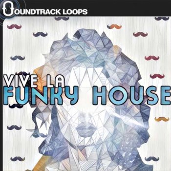Сэмплы Soundtrack Loops Vive La Funky House