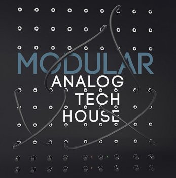 Сэмплы Big Fish Audio Modular Analog Tech House