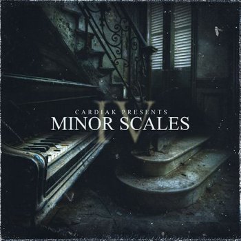 Сэмплы и MIDI - Flatline Kits Cardiak Presents Minor Scales 4