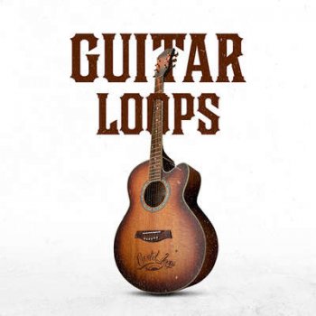 Сэмплы Cartel Loops Guitar Loops