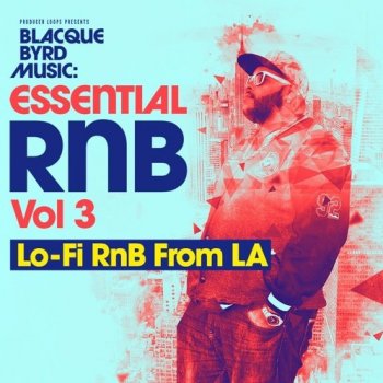 Сэмплы Producer Loops Blacque Byrd Music Essential RnB Vol.3