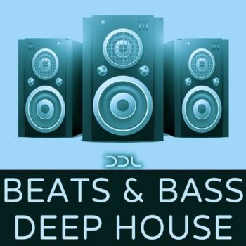 Сэмплы Deep Data Loops Beats & Bass Deep House