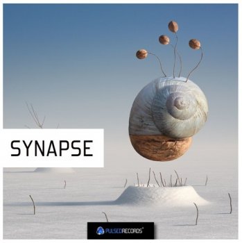 Сэмплы Pulsed Records Synapse