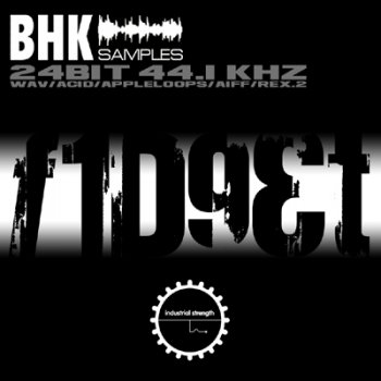 Сэмплы Industrial Strength Records BHK Fidget (House)