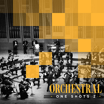 Сэмплы Diginoiz Orchestral One Shots 2