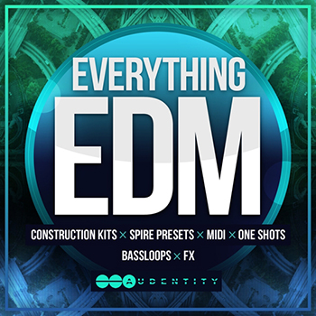 Сэмплы Audentity Everything EDM