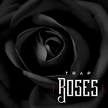 Сэмплы Diginoiz - Trap Roses