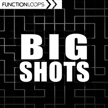 Сэмплы Function Loops - Big Shots