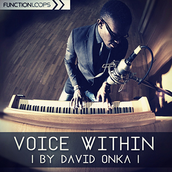 Сэмплы Function Loops - Voice Within
