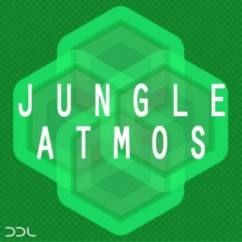 Сэмплы Deep Data Loops Jungle Atmos
