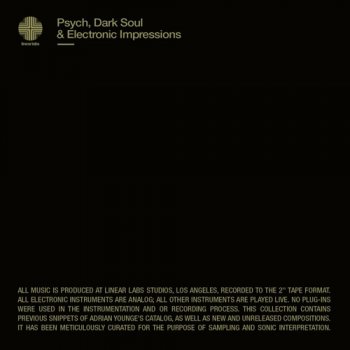 Сэмплы Adrian Younge Psych Dark Soul And Electronic Impressions
