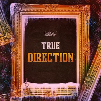 Сэмплы Cartel Loops True Direction