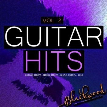 Сэмплы Blackwood Samples Guitar Hits Vol 2