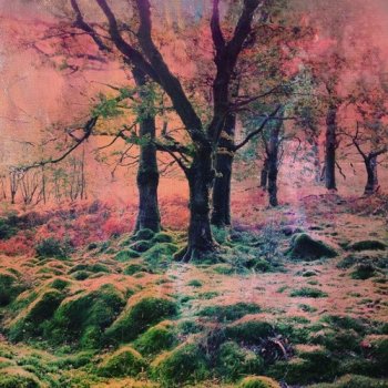 Сэмплы Ocoeur Visionary Elements