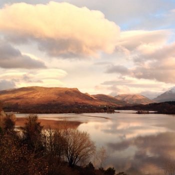 Сэмплы 43% Giant Future Bass