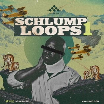 Сэмплы MSXII Sound Design Schlump Loops 1