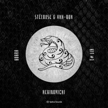 Сэмплы Splice Sounds SteLouse and Ahh Ooh Hebinomichi Kobra Kit