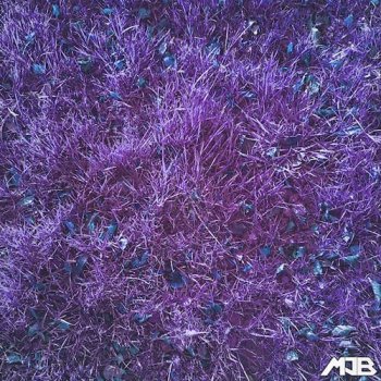 Сэмплы MrJonnyBatch Tribal House