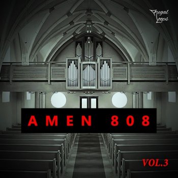 Сэмплы Regal Loops AMEN 808 Vol.3
