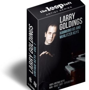 Сэмплы The Loop Loft Larry Goldings Vintage Keys Vol. 1