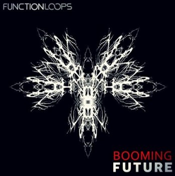Сэмплы Function Loops Booming Future