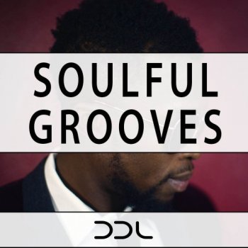 Сэмплы Deep Data Loops Soulful Grooves
