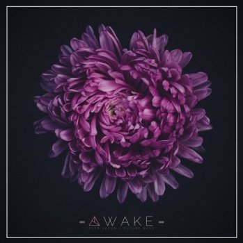 Сэмплы и пресеты - Unmute Awake For Serum