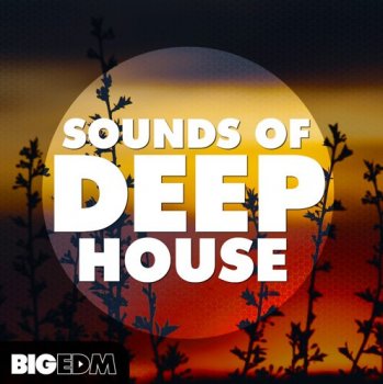 Сэмплы Big EDM Sounds Of Deep House