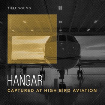 Сэмплы ударных - That Sound Hangar