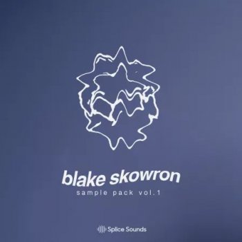 Сэмплы Splice Sounds Blake Skowron Sample Pack