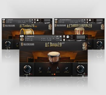 Библиотека сэмплов - Angel Cano Gold Percussions (KONTAKT)