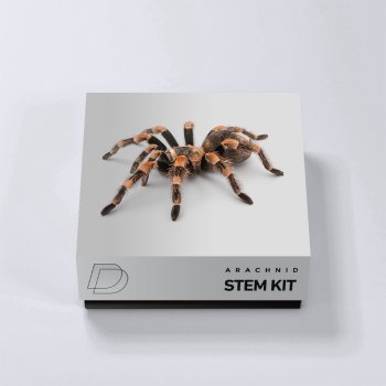 Сэмплы DrumVault Arachnid Stem Kit