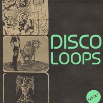 Сэмплы Raw Loops Disco Loops