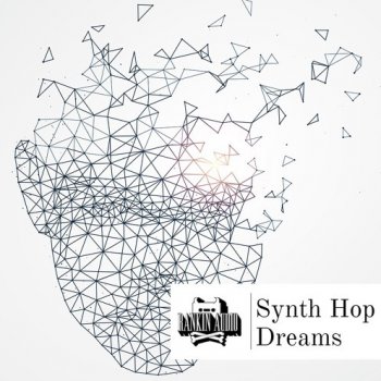 Сэмплы Rankin Audio Synth Hop Dreams