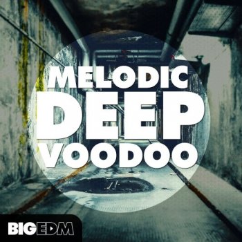 Сэмплы Big EDM Melodic Deep VOODOO