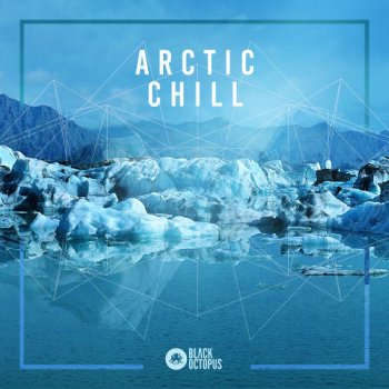 Сэмплы Black Octopus Sound Arctic Chill