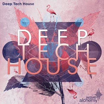 Сэмплы Wave Alchemy Deep Tech House