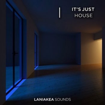 Сэмплы Laniakea Sounds Its Just House