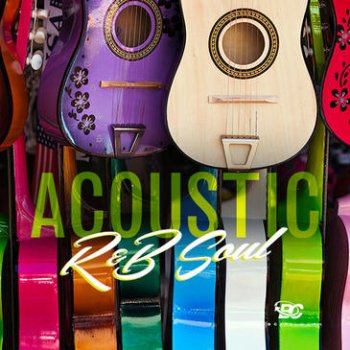 Сэмплы Big Citi Loops Acoustic RnB Soul