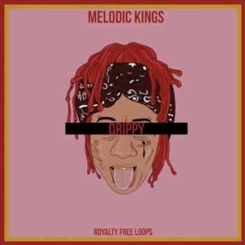 Сэмплы Melodic Kings Drippy