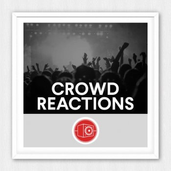 Сэмплы Big Room Sound Crowd Reactions