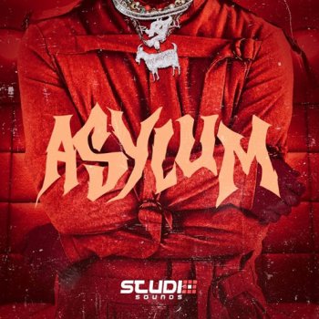 Пресеты Studio Sounds - Asylum Xfer Serum Bank