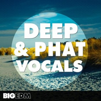 Сэмплы Big EDM Deep and Phat Vocals