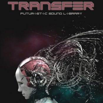 Сэмплы Silence+Other Sounds Transfer Lite Edition