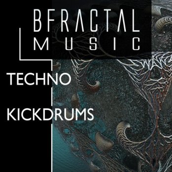 Сэмплы BFractal Music Techno KickDrums