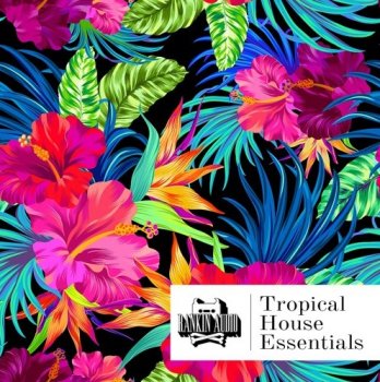 Сэмплы Rankin Audio Tropical House Essentials